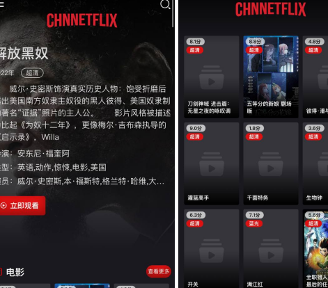 ChnNetflix影视📺中国奈飞