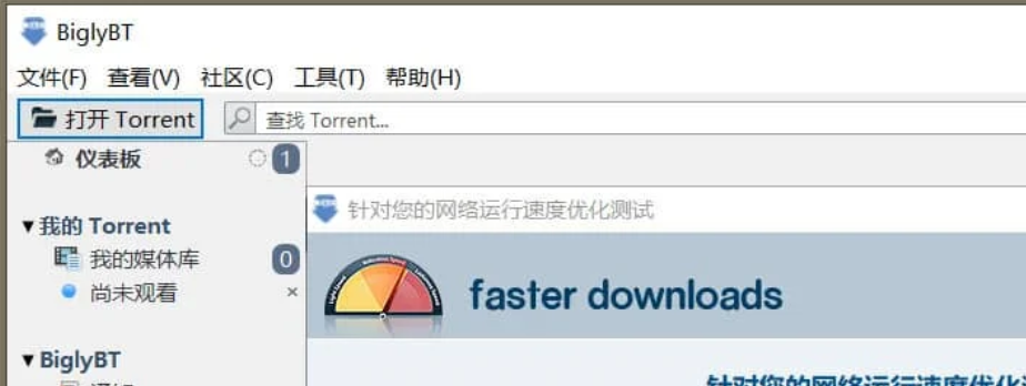 BiglyBT(开源免费BT种子客户端 ) v3.5.0 官方中文版